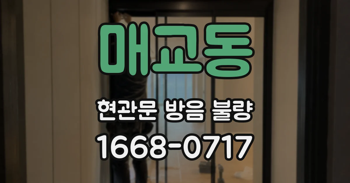 매교동 현관문 방음 불량