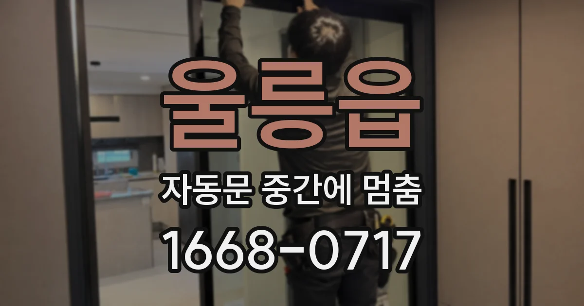 울릉읍 자동문 중간에 멈춤