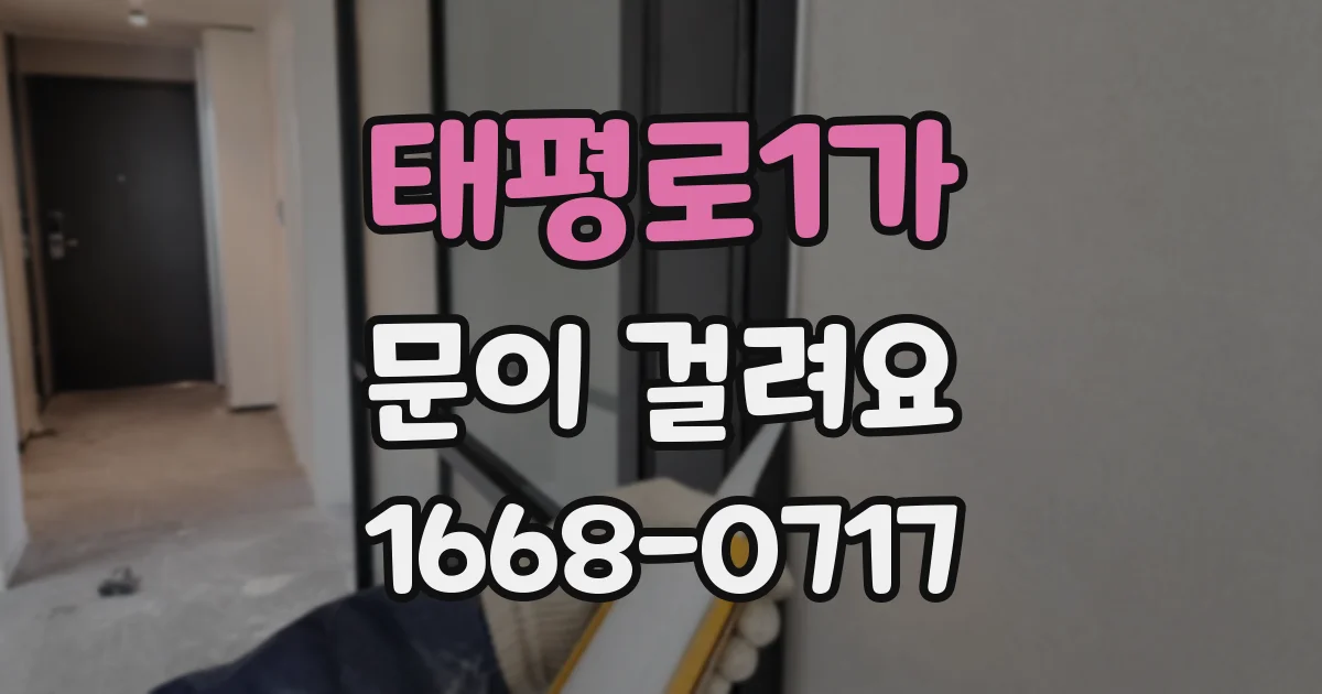 태평로1가 문이 걸려요
