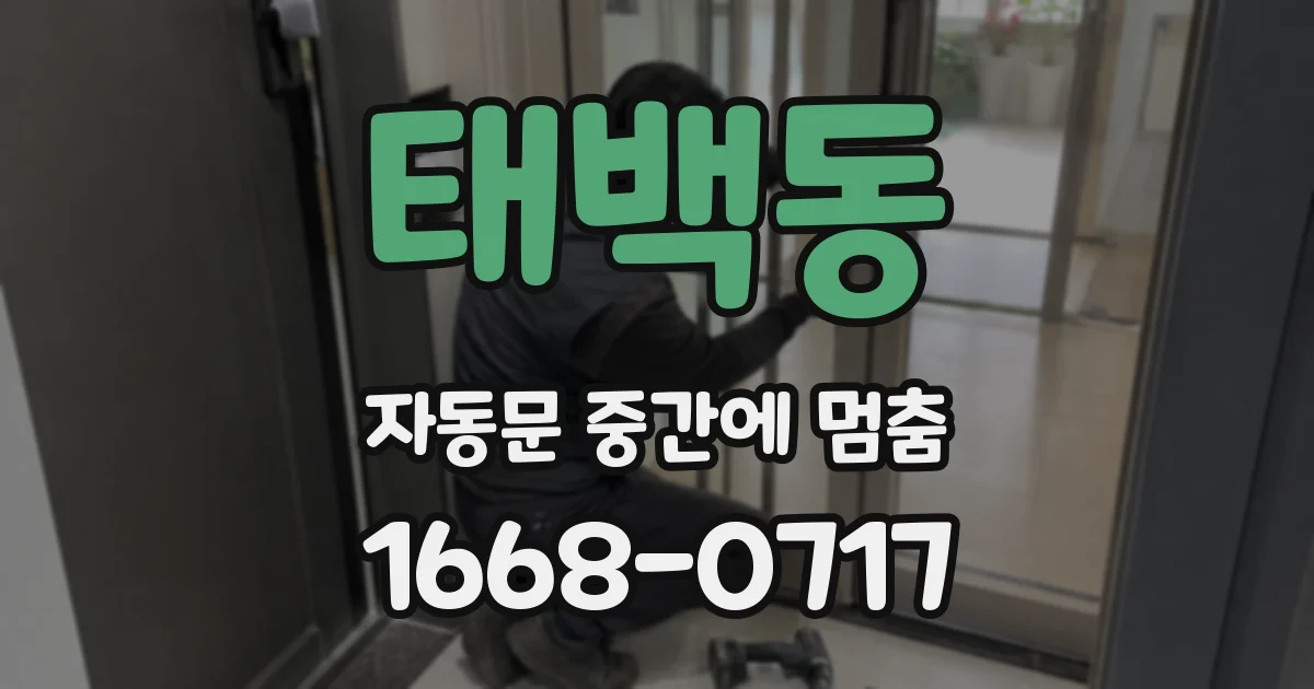 태백동 자동문 중간에 멈춤
