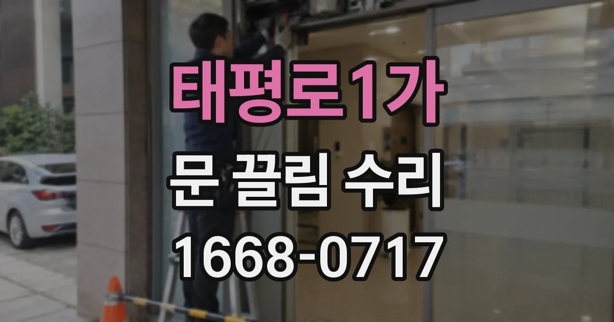 태평로1가 문 끌림 수리