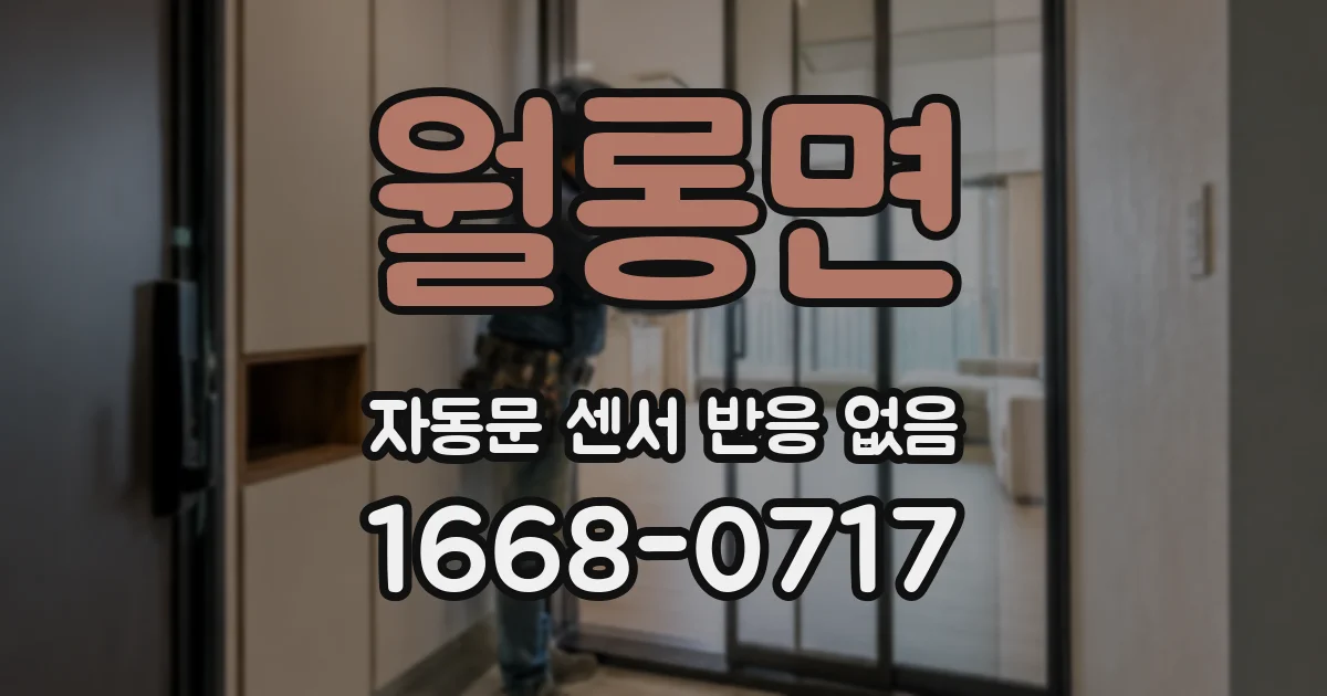 월롱면 자동문 센서 반응 없음