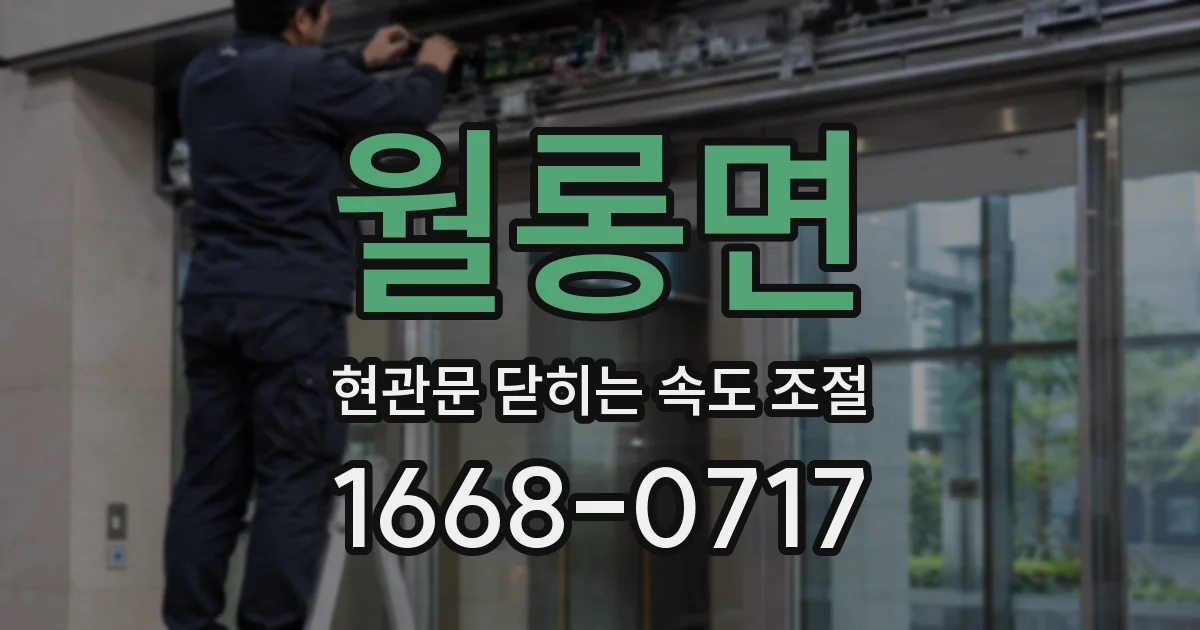 월롱면 현관문 닫히는 속도 조절