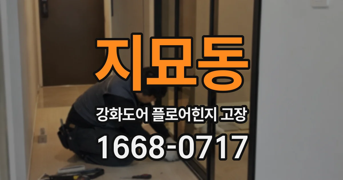 지묘동 강화도어 플로어힌지 고장