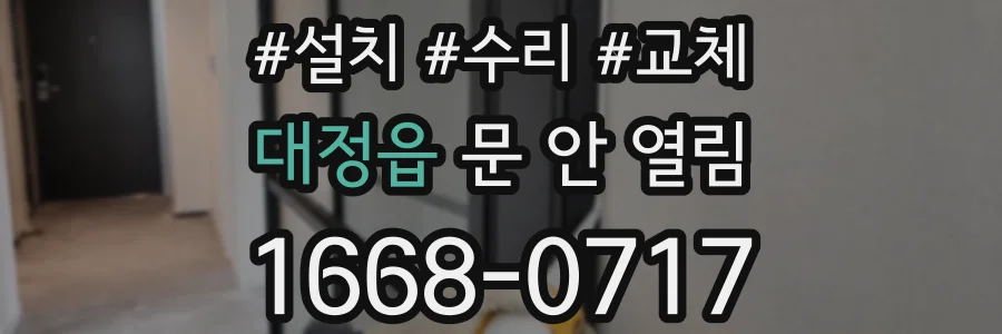 대정읍 문 안 열림
