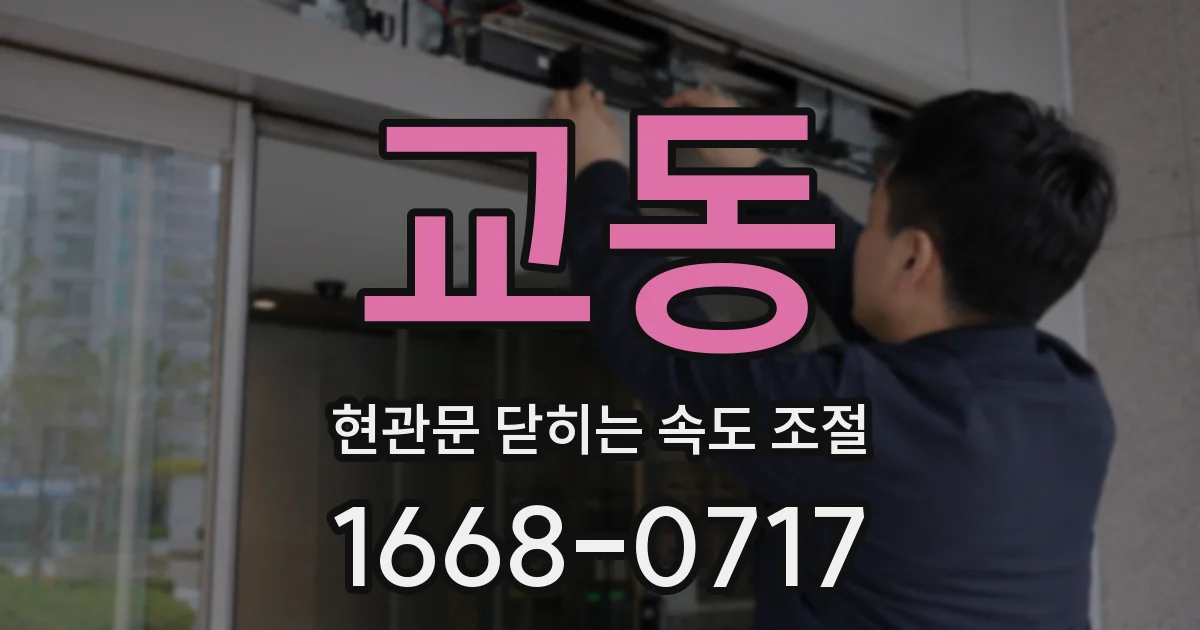 교동 현관문 닫히는 속도 조절