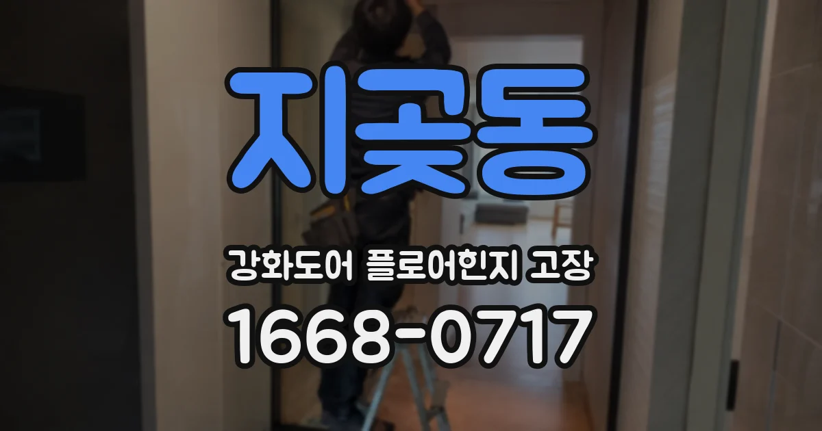 지곶동 강화도어 플로어힌지 고장
