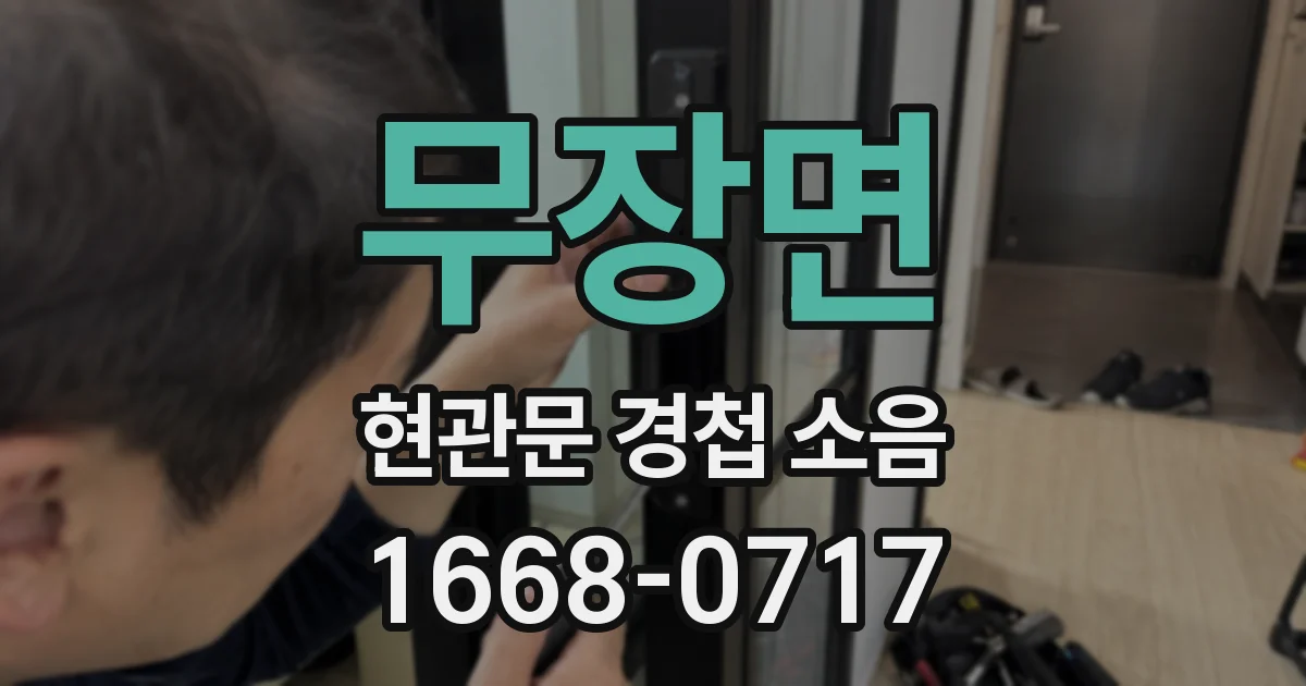 무장면 현관문 경첩 소음