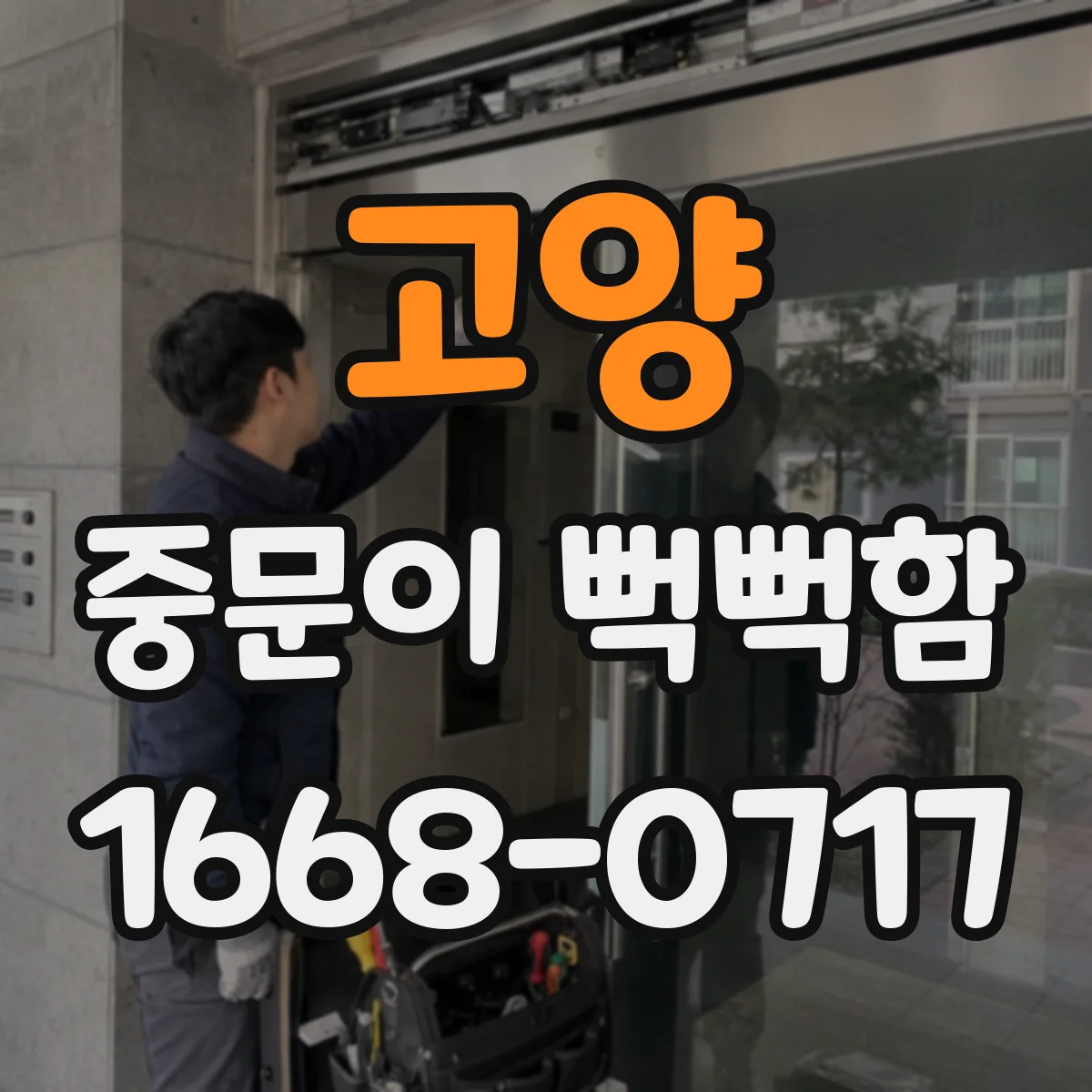 고양 중문이 뻑뻑함
