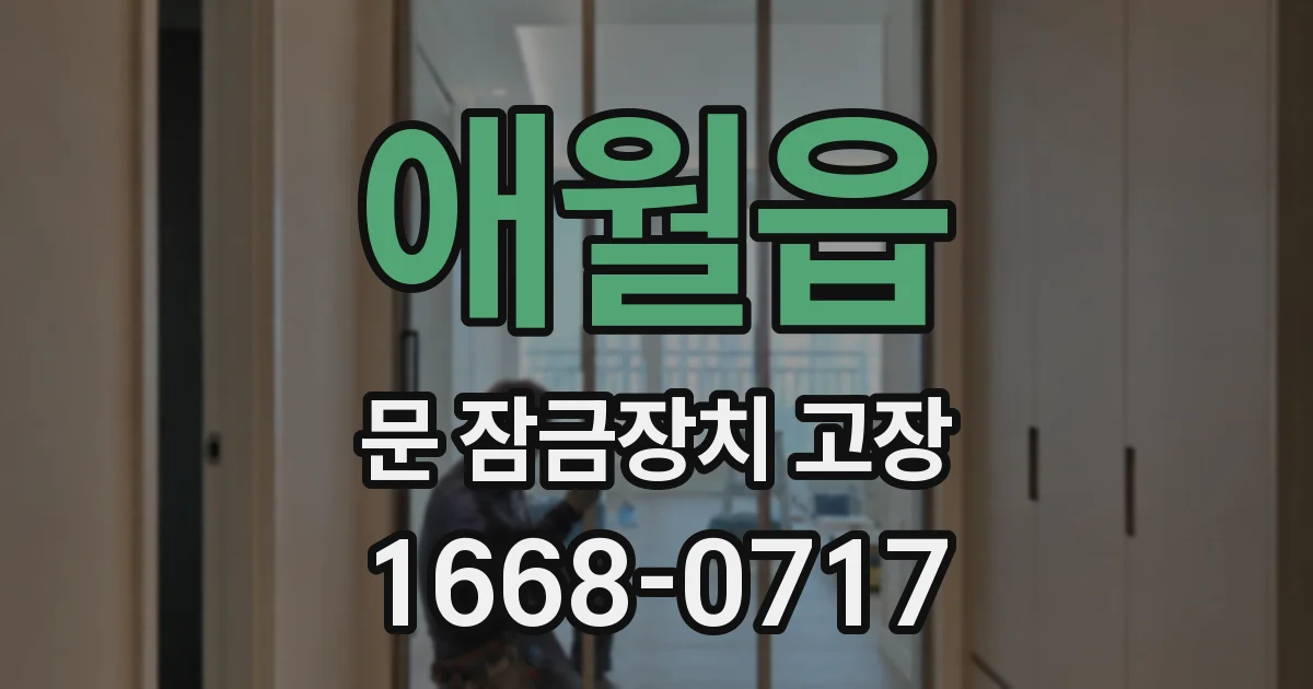 애월읍 문 잠금장치 고장