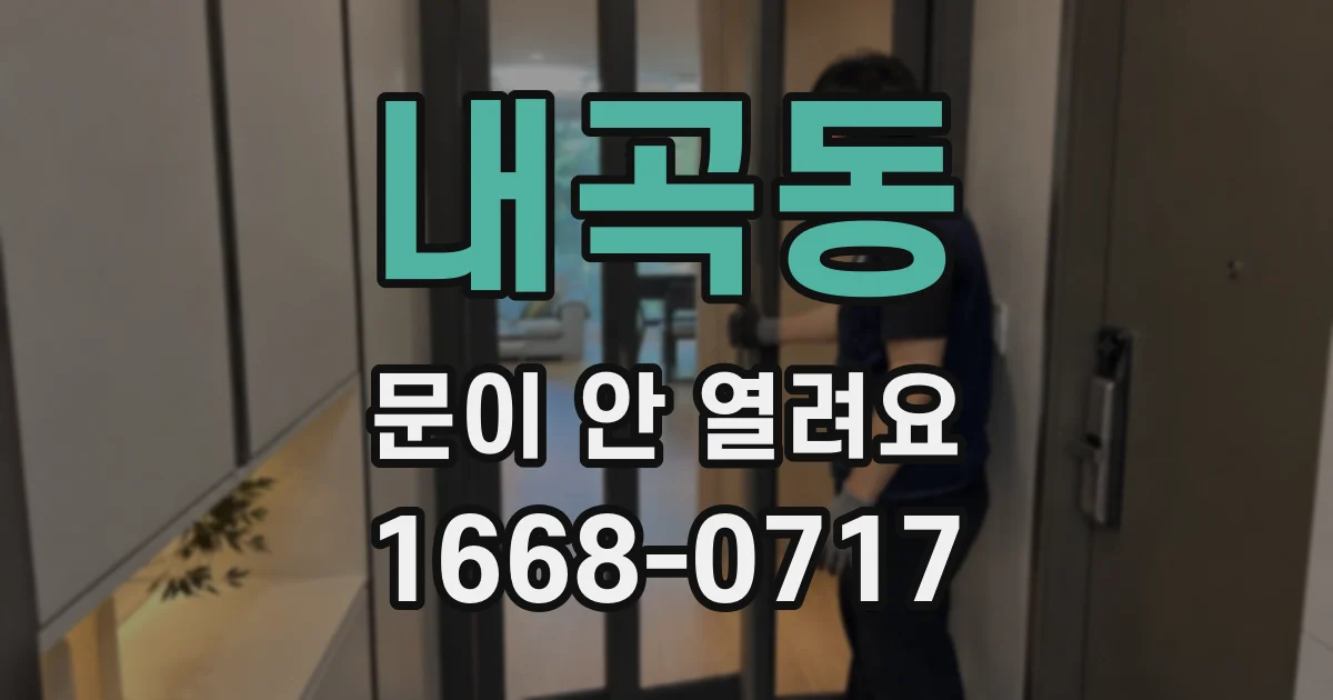 내곡동 문이 안 열려요