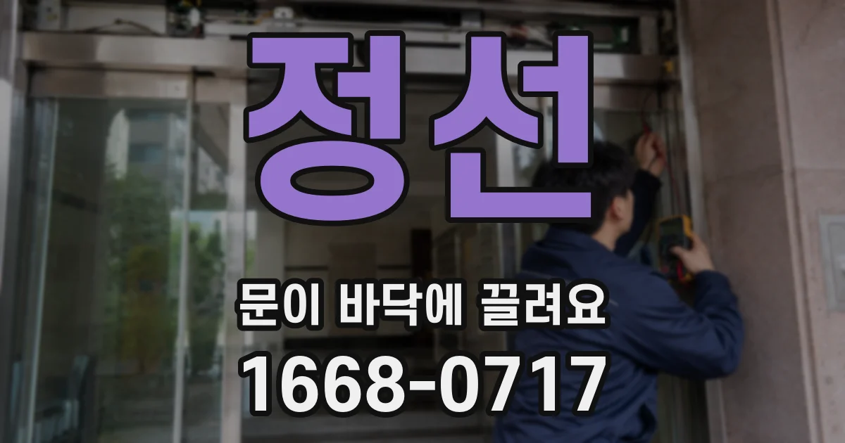 정선 문이 바닥에 끌려요