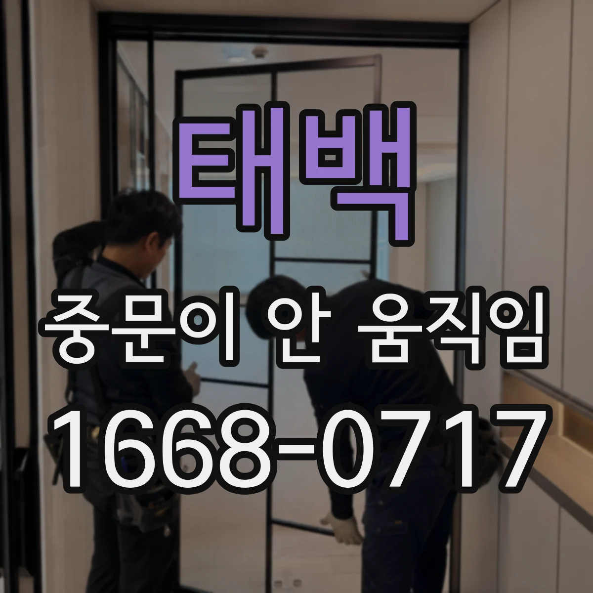 태백 중문이 안 움직임
