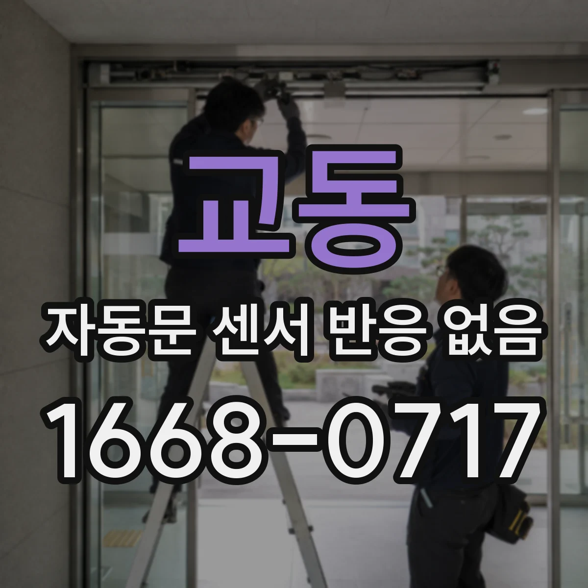 교동 자동문 센서 반응 없음