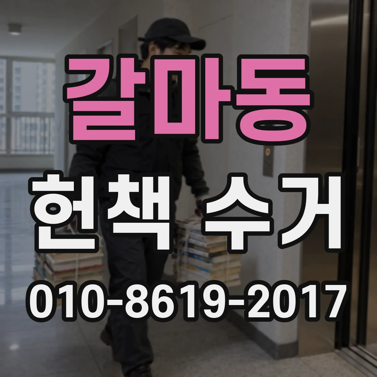 갈마동 헌책 수거