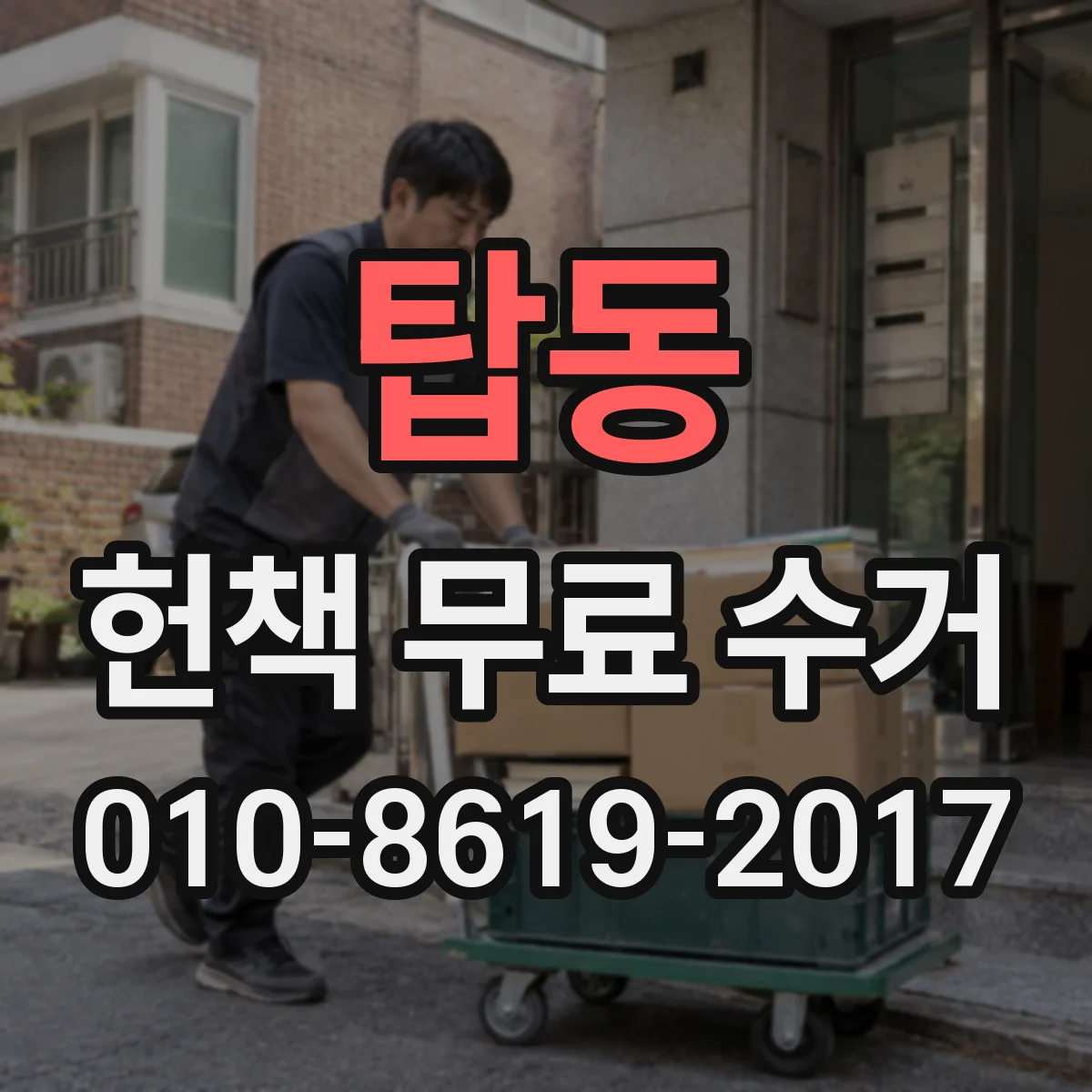 탑동 헌책 무료 수거