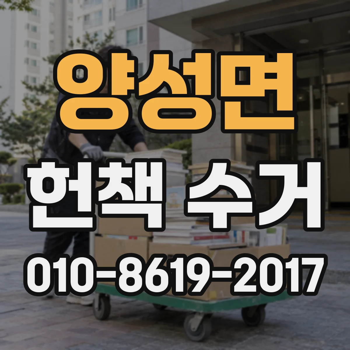 양성면 헌책 수거