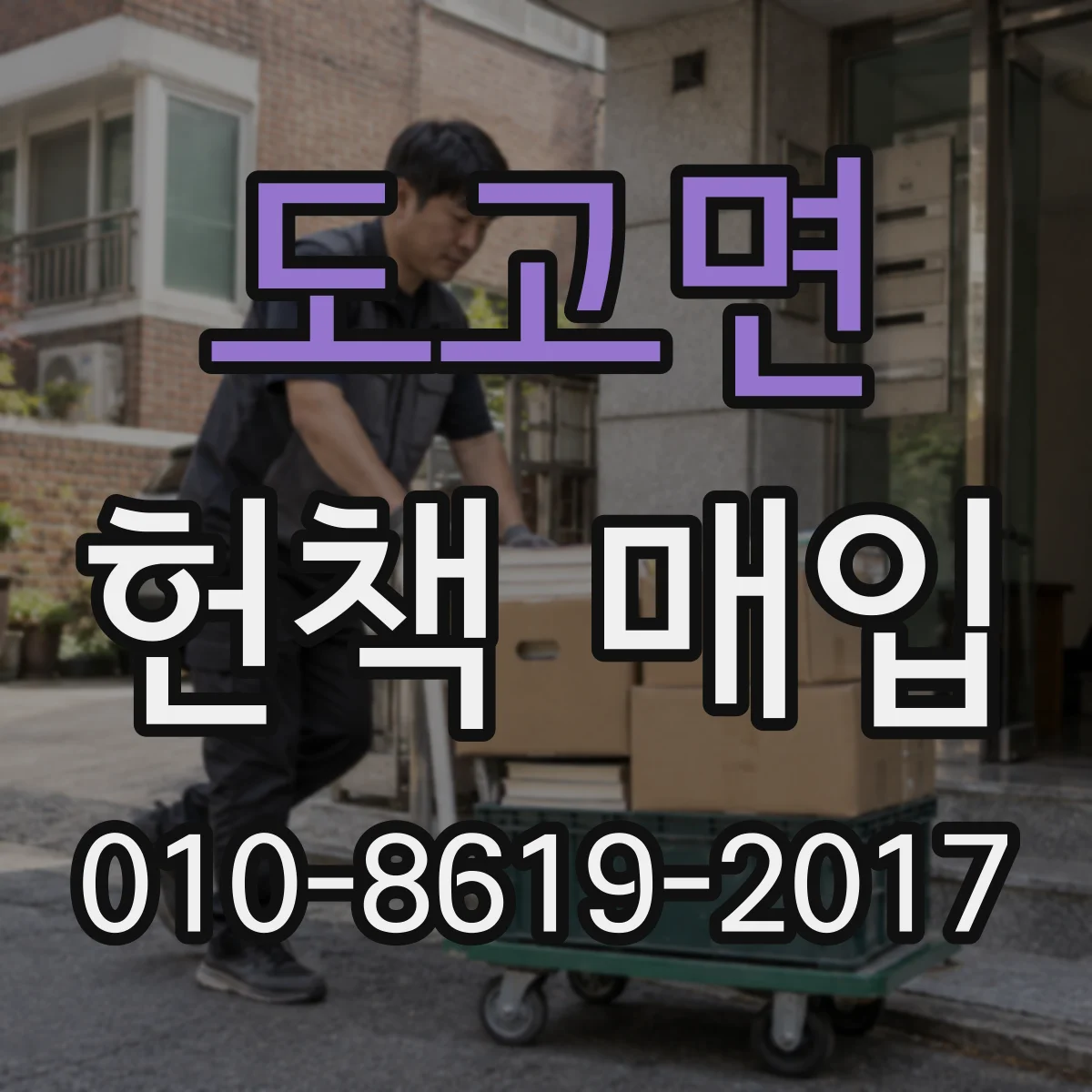 도고면 헌책 매입