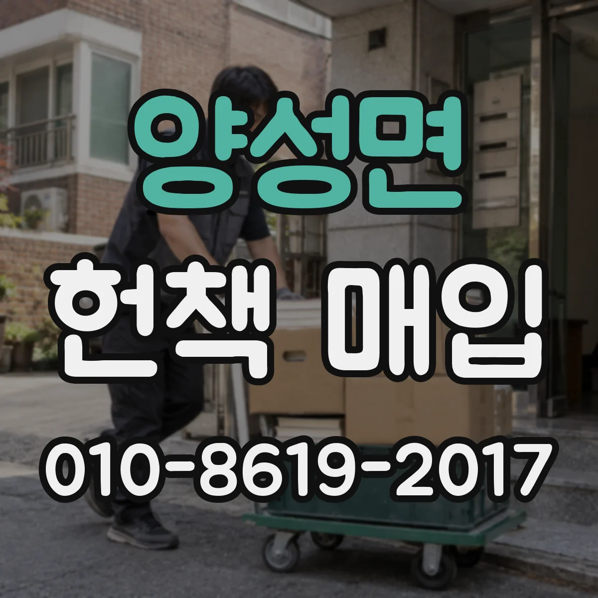 양성면 헌책 매입