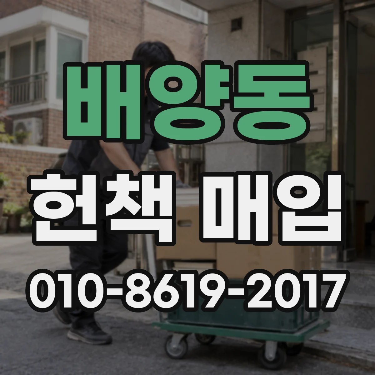 배양동 헌책 매입
