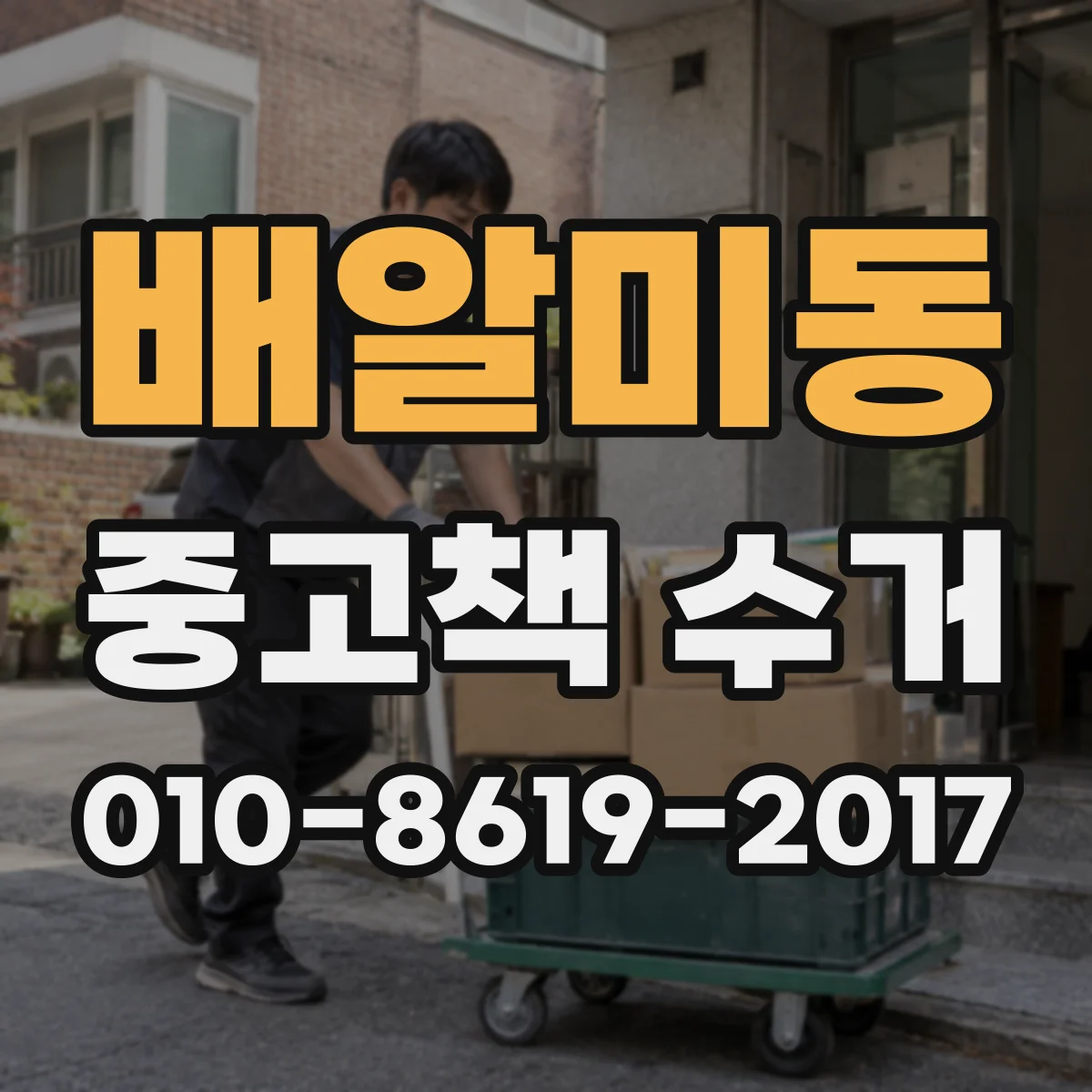 배알미동 중고책 수거