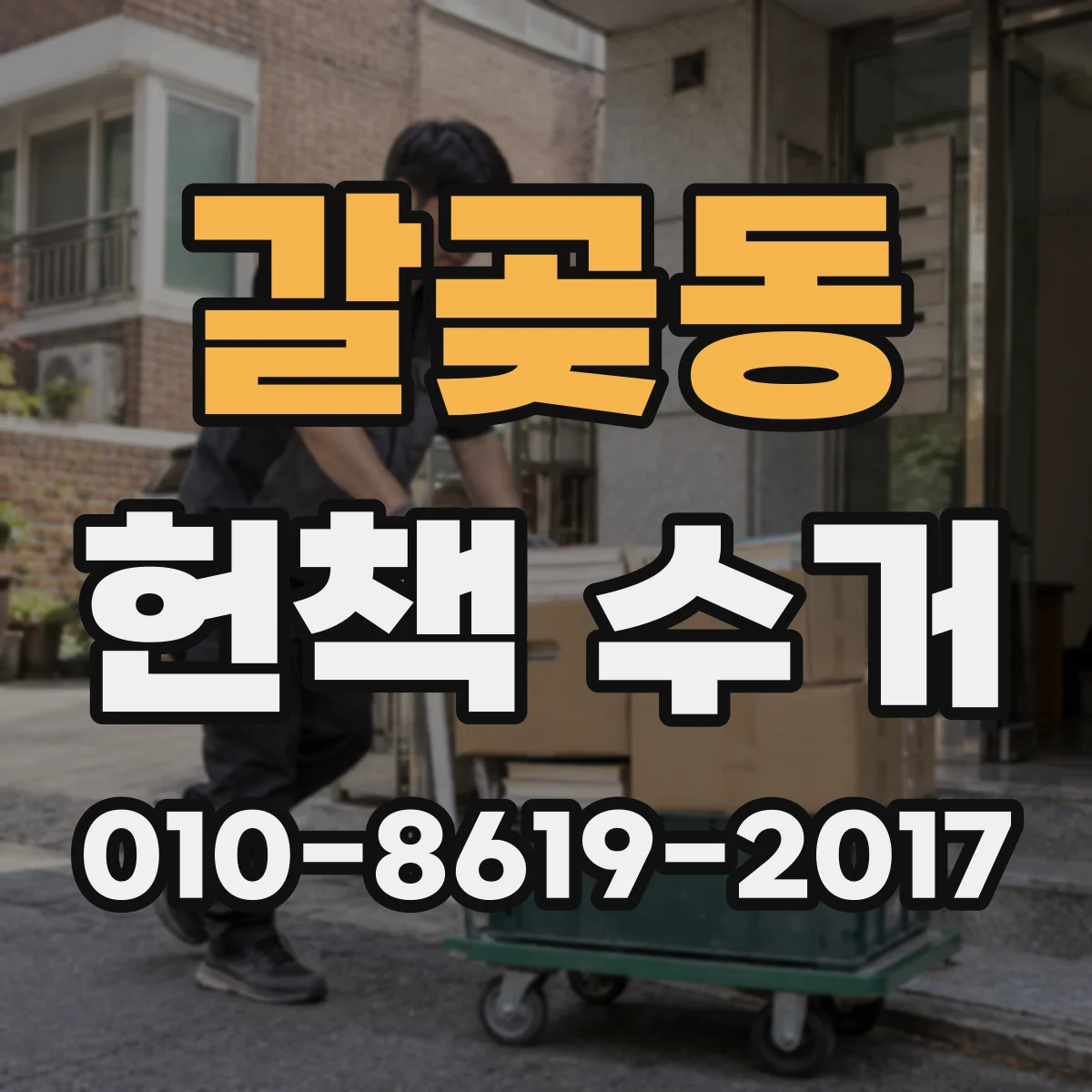 갈곶동 헌책 수거