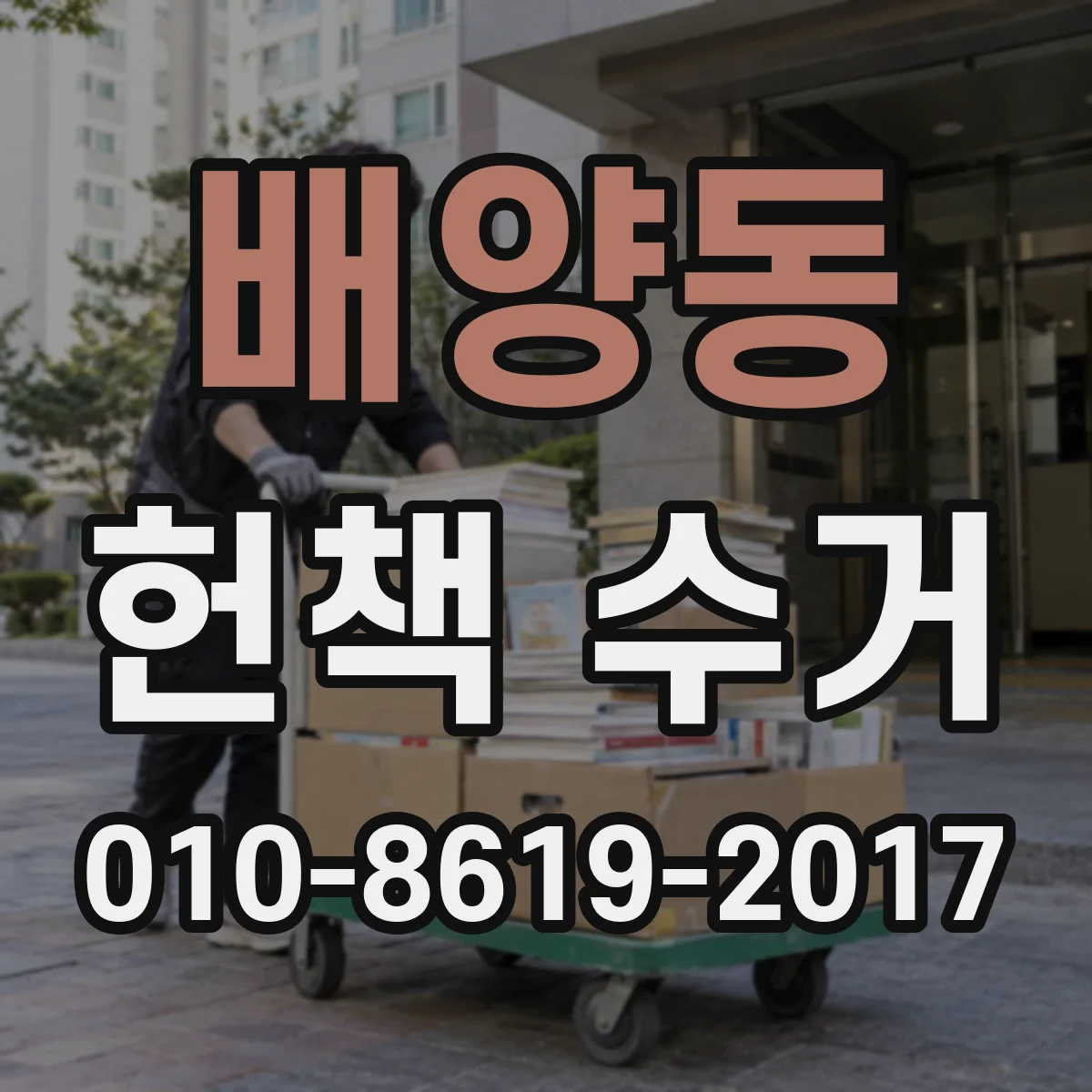 배양동 헌책 수거