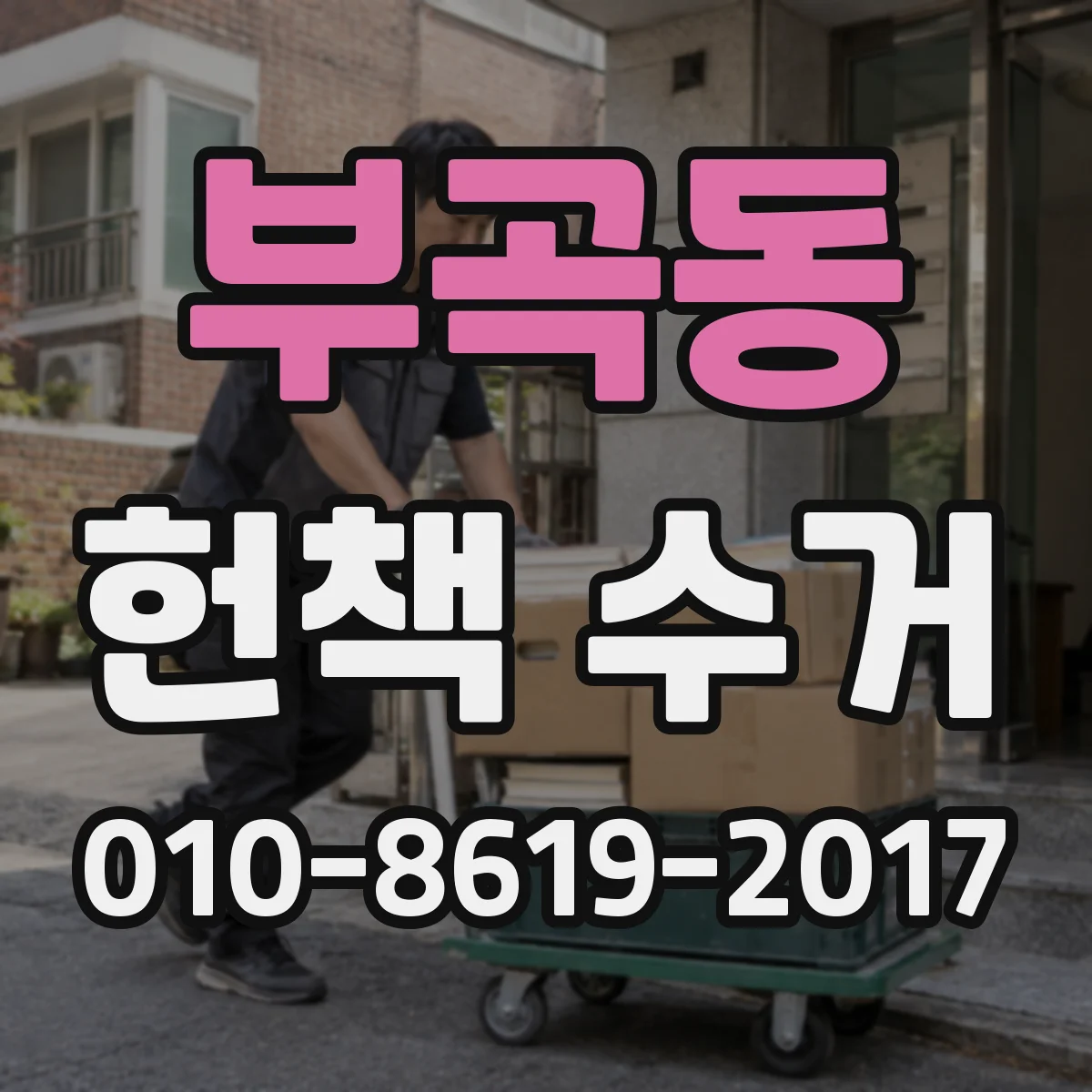 부곡동 헌책 수거