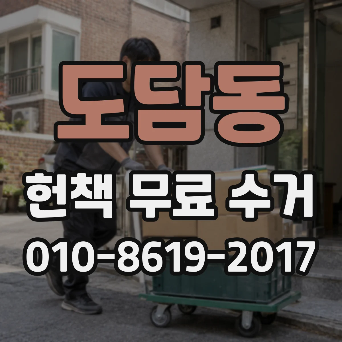 도담동 헌책 무료 수거