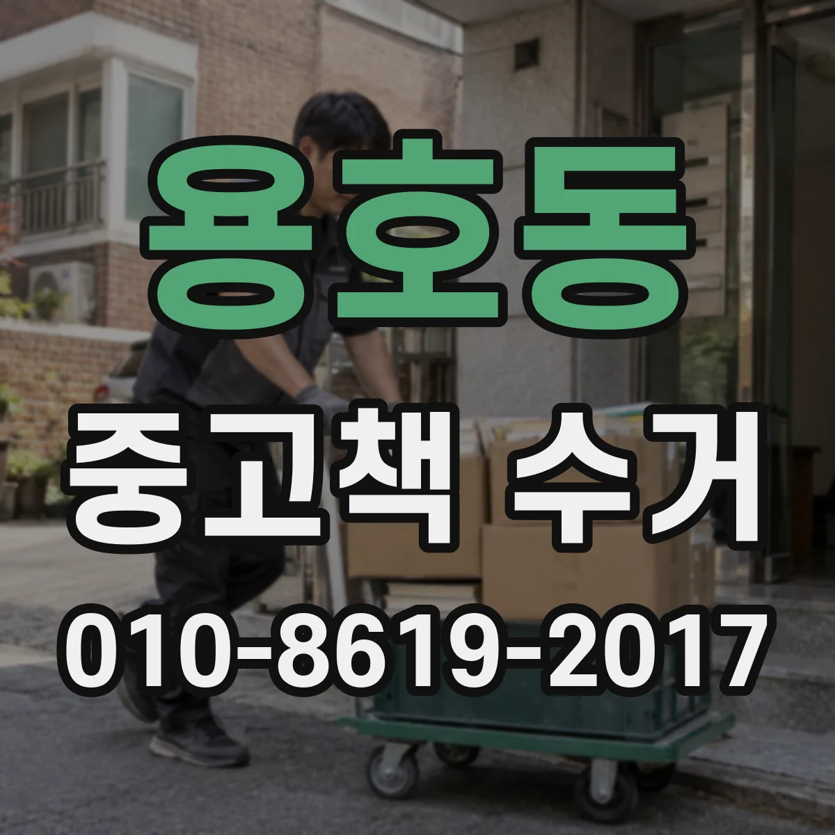 용호동 중고책 수거