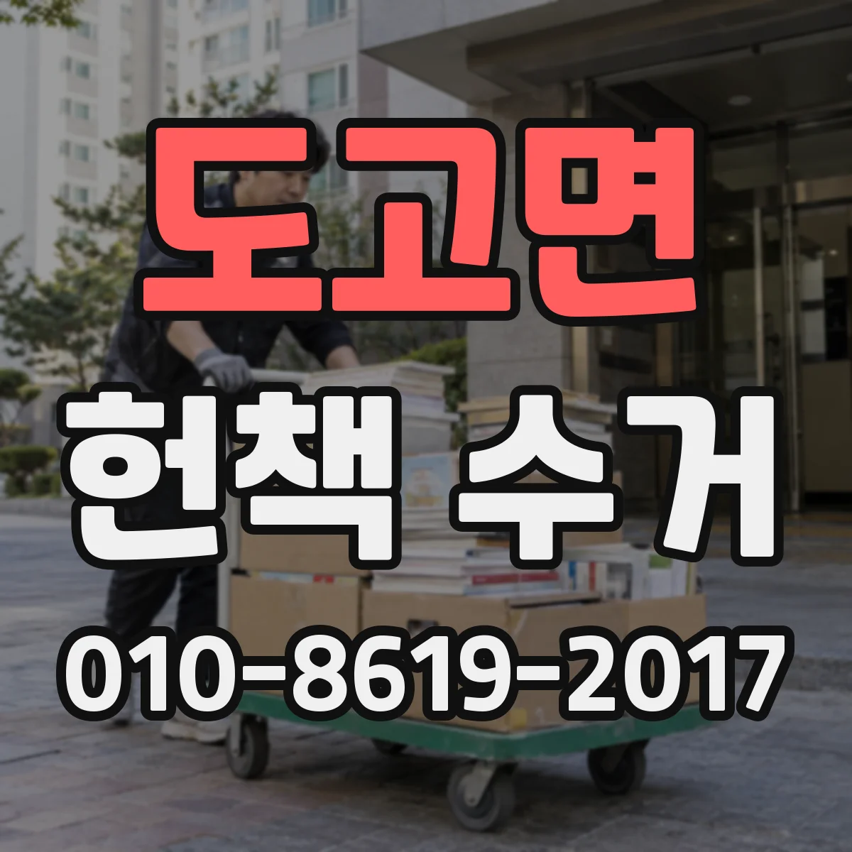 도고면 헌책 수거