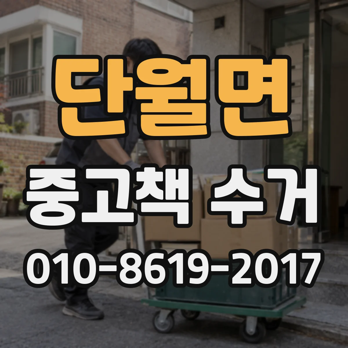 단월면 중고책 수거