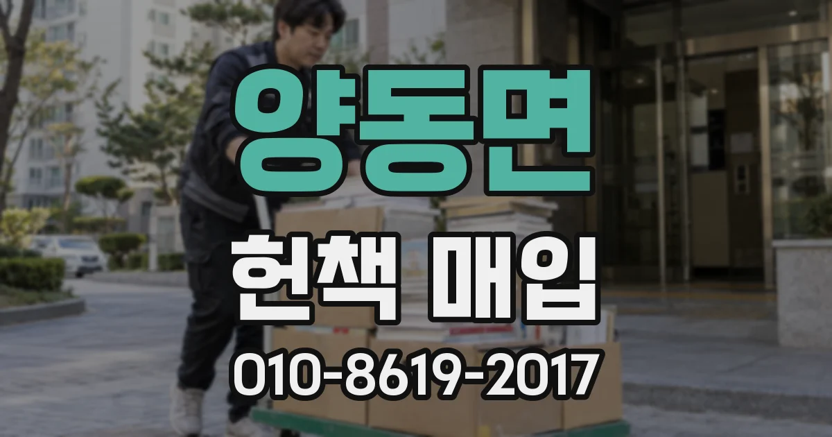 양동면 헌책 매입