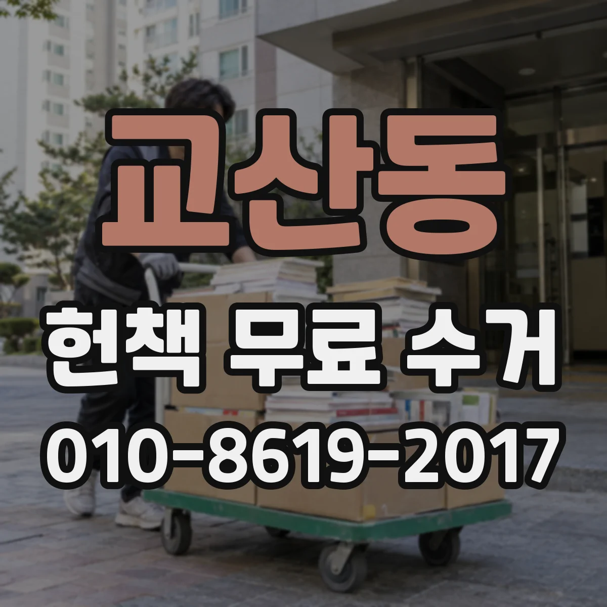 교산동 헌책 무료 수거