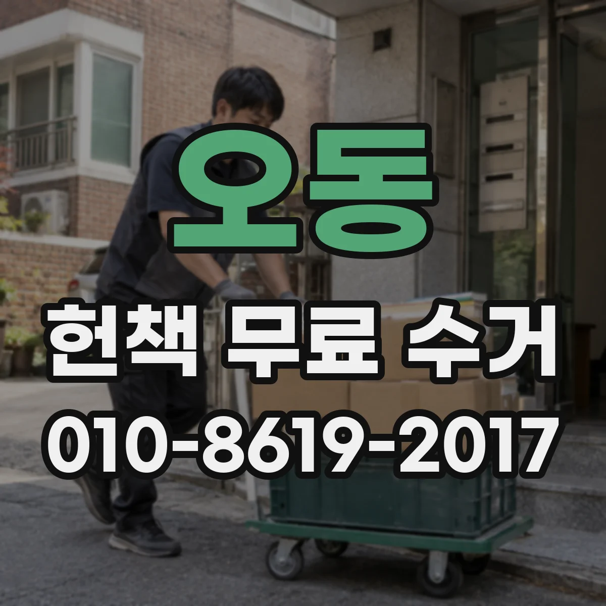 오동 헌책 무료 수거