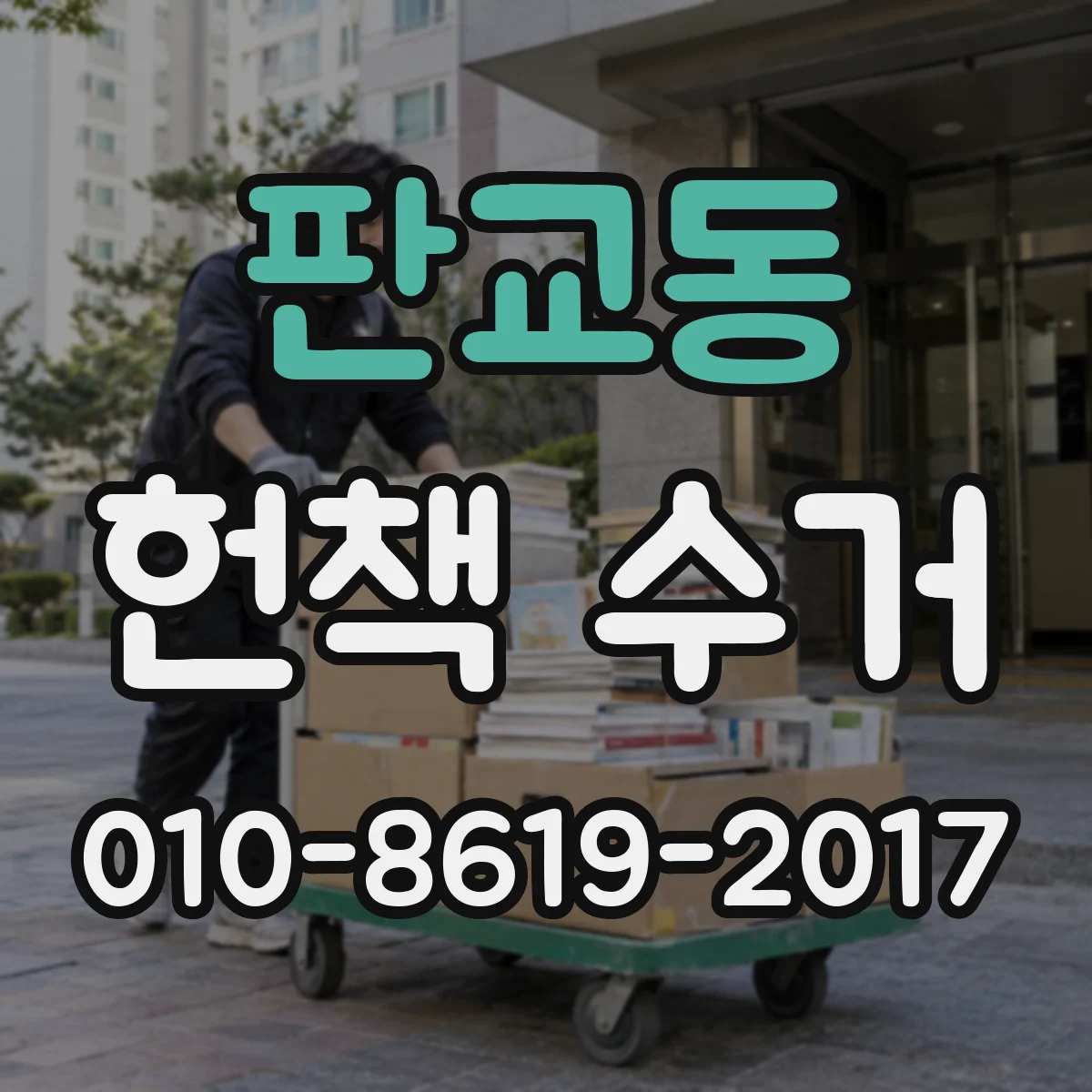 판교동 헌책 수거