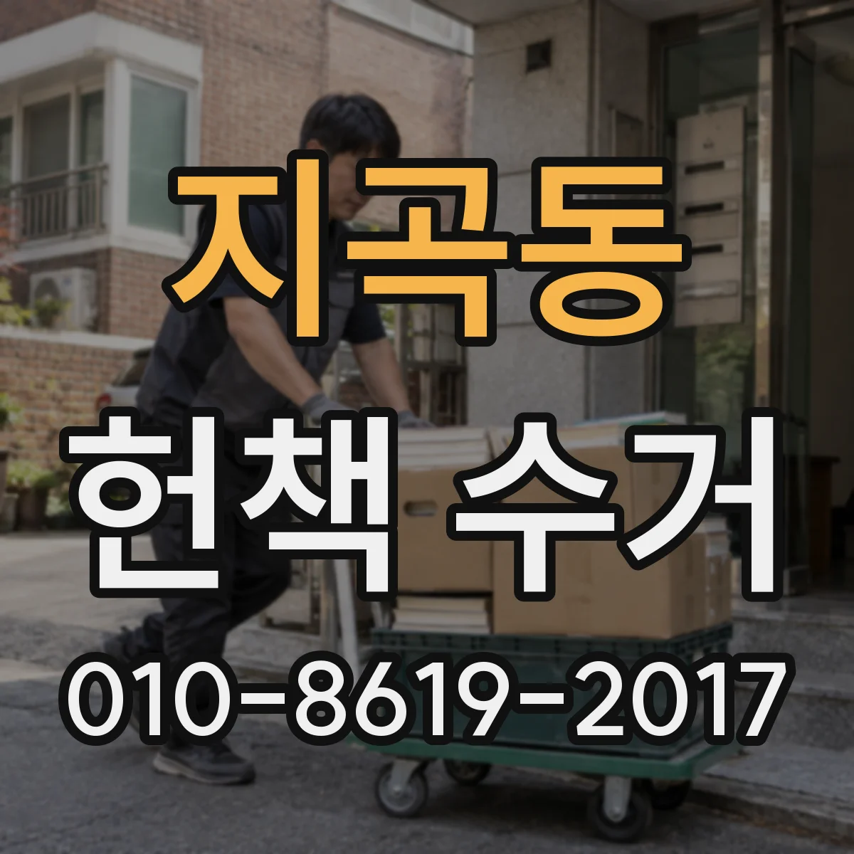지곡동 헌책 수거