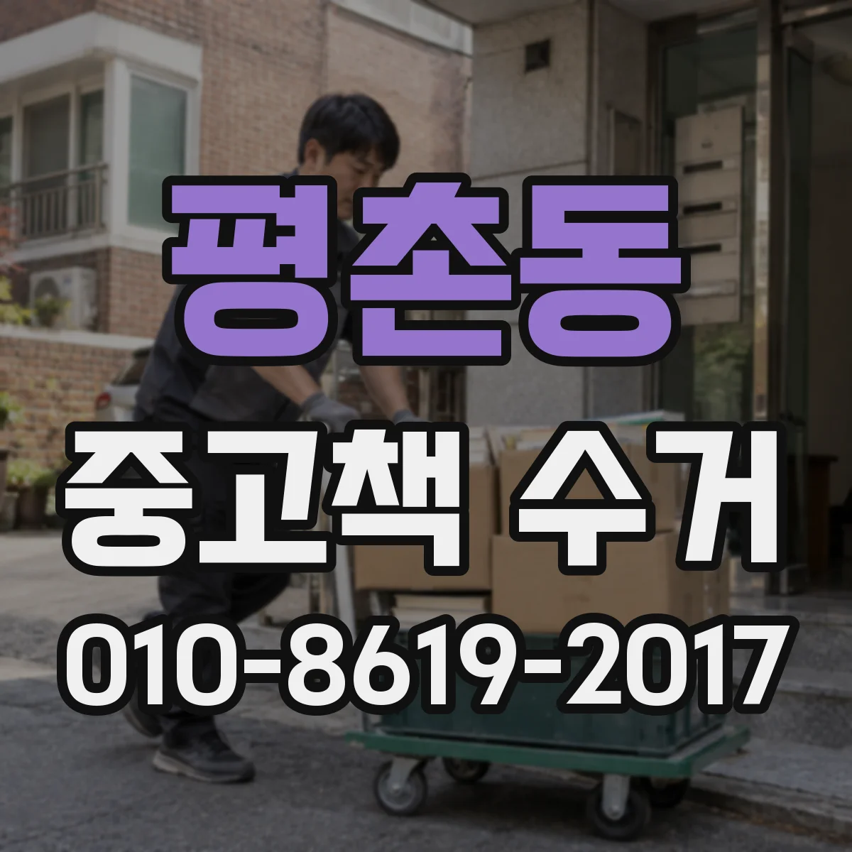 평촌동 중고책 수거