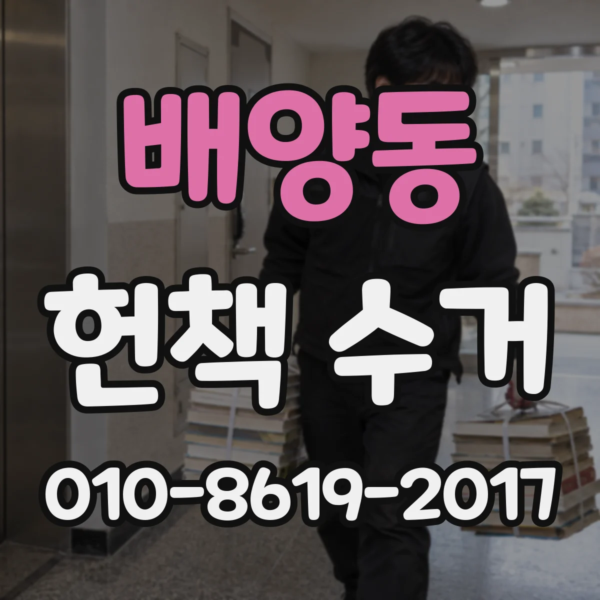 배양동 헌책 수거